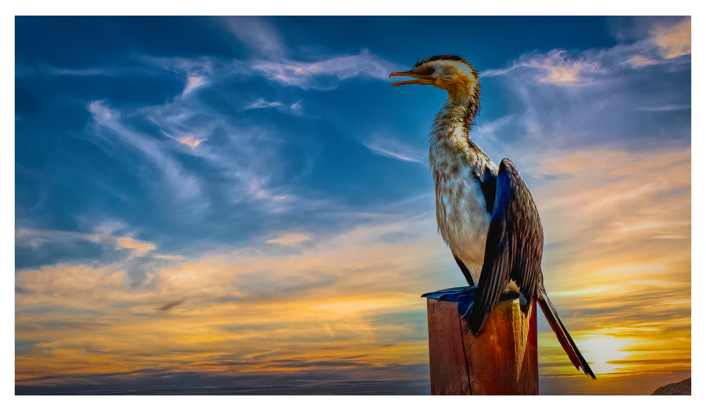 Photographs of Australia from Bush to Beach, Nature