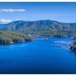 The Gold Coast Wetlands - Suggpix