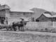 Mt Alford Store