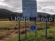 The Lions Road